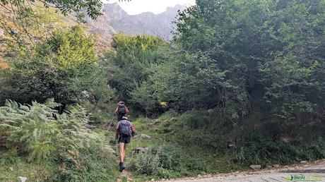 PICO OBESON desde TIELVE, Cabrales Desvío a la Canal de Pelliteru desde Tielve