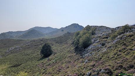 PICO OBESON desde TIELVE, Cabrales Camino a la Majada de Tordín