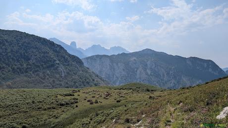 PICO OBESON desde TIELVE, Cabrales Descendiendo a la Majada de Tabaos