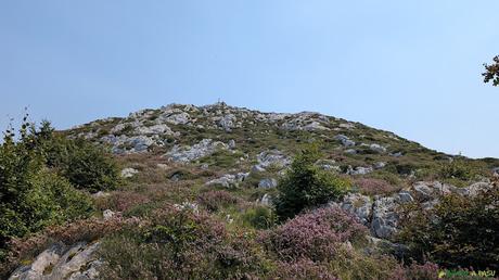PICO OBESON desde TIELVE, Cabrales Llegando a la cima del Pico Obesón