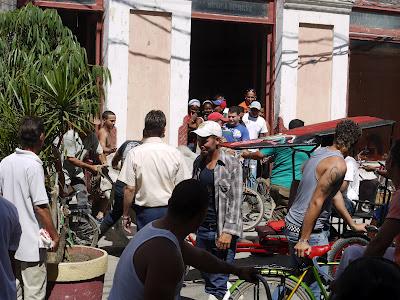 Un toro en 20 de mayo.