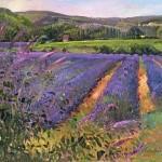 Timothy Easton - Buddleia and Lavender Field, Montclus, 1993 (oil on canvas)