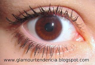 MS CHIC, SOMBRAS Y MASCARA