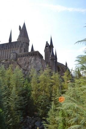 El mágico mundo de Harry Potter
