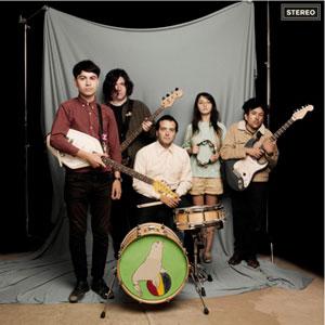 Sea Lions – Everything You Always Wanted To Know About Sea Lions But Were Afraid To Ask