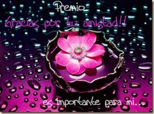 Premios y otras cosillas