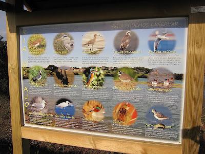 Paneles informativo-ornitológicos en el Municipio de Bareyo...
