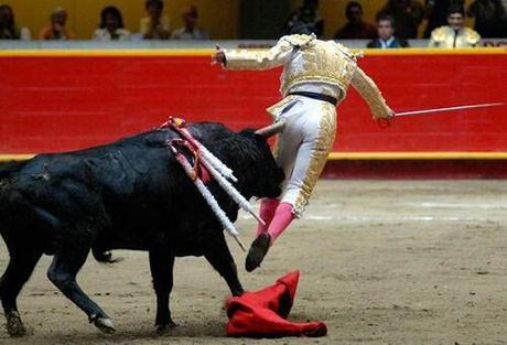 Accidentes deportivos - Ruedo de toro