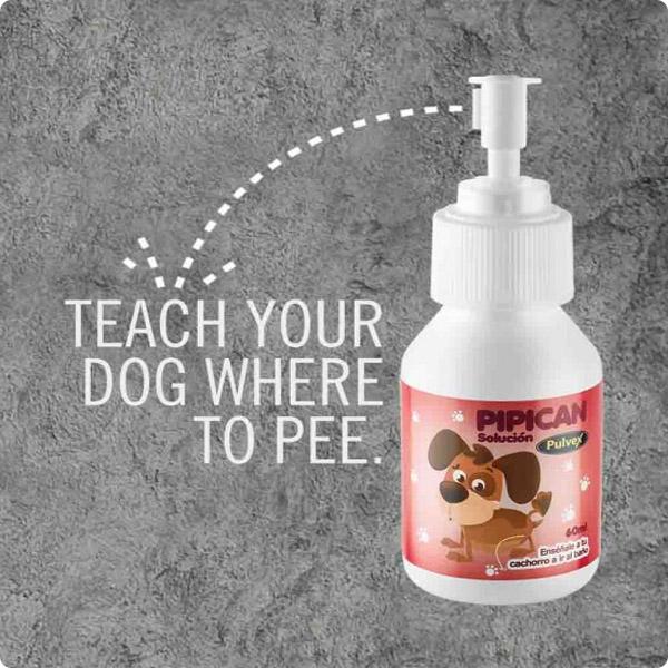 publicidades creativas