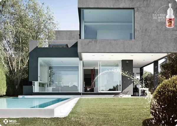 publicidades creativas