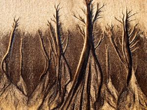 Foto: Maricarmen Díaz Quijada