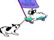 ¿Quieres adoptar Bulldog Francés? Contacta Frenchi