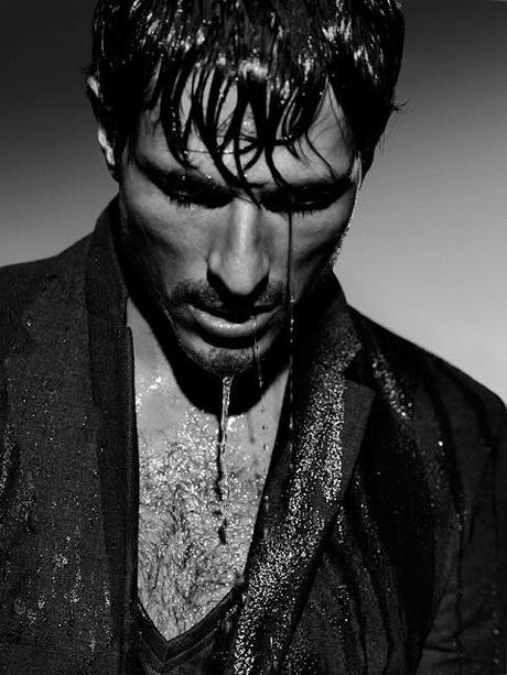 ANDRES VELENCOSO.