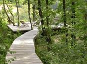 Eugeni Pons: Casa Auch