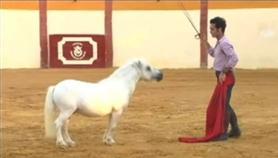 Jazmín, el medio toro