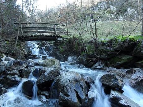 Campo de Caso (Asturias) en imágenes