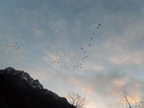 Campo de Caso (Asturias) en imágenes