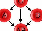 Encuentran nuevos grupos sanguineos