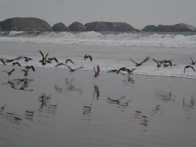 Perú: Un Paraíso