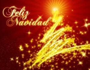 La Navidad y día de Reyes: ¡posadas, nacimiento, árbol de navidad, rosca de reyes y los regalos!