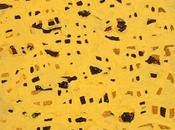 Albert Arribas Forcada Fundació Arranz-Bravo