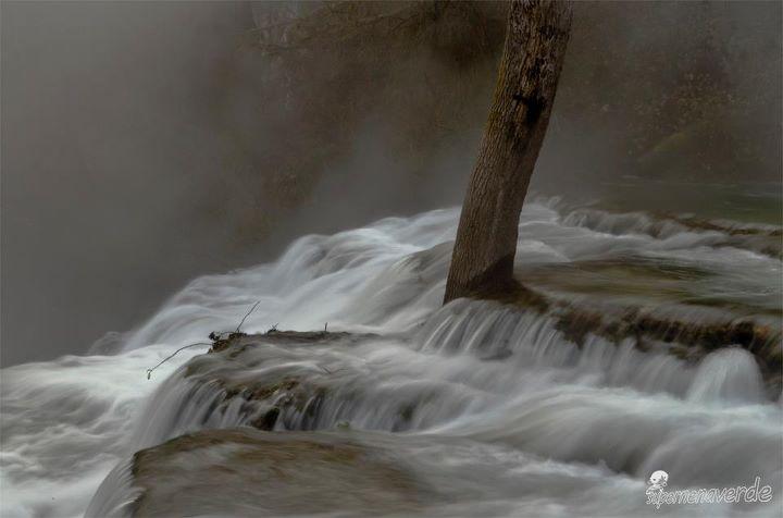 Fotografia de la semana