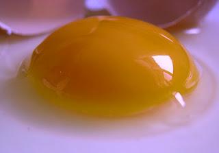 El huevo y el colesterol