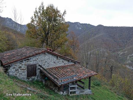 Campo de Caso-El Piqueru-Veneros