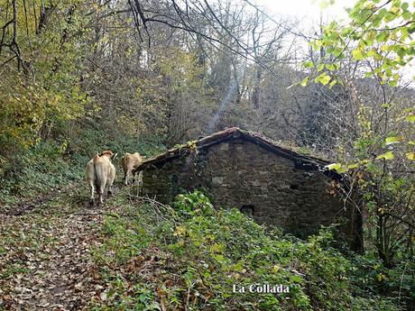 Campo de Caso-El Piqueru-Veneros