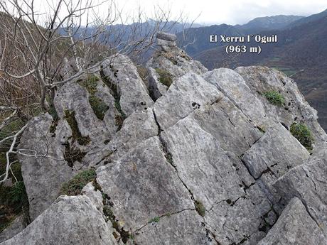 Campo de Caso-El Piqueru-Veneros