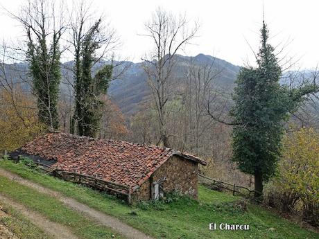 Campo de Caso-El Piqueru-Veneros
