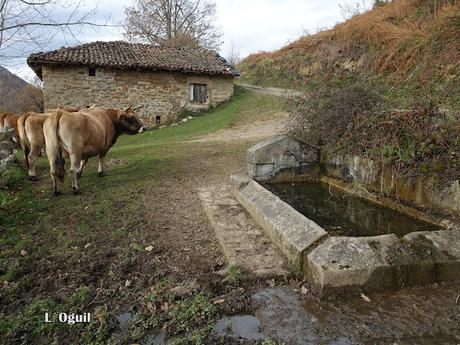 Campo de Caso-El Piqueru-Veneros Campo de Caso-El Piqueru-Veneros
