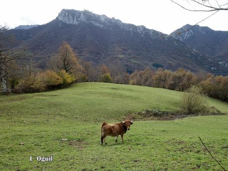 Campo de Caso-El Piqueru-Veneros Campo de Caso-El Piqueru-Veneros
