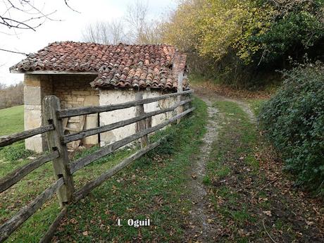 Campo de Caso-El Piqueru-Veneros
