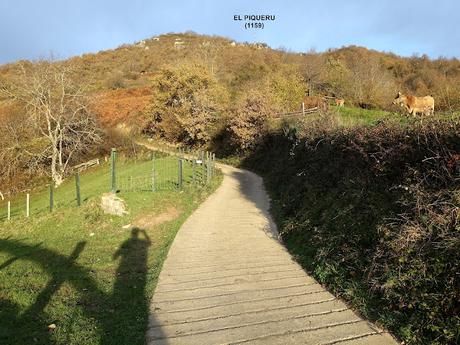 Campo de Caso-El Piqueru-Veneros