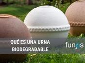 Urnas biodegradables, tendencia alza