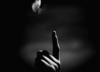 Mi mariposa azul. Mi mariposa azul.