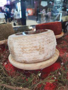 Quesos TGT y Bodega K5 conquistan el Salón Gourmets con un exclusivo maridaje de queso y vino Quesos TGT y Bodega K5 conquistan el Salón Gourmets con un exclusivo maridaje de queso y vino