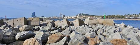 Charrán Patinegro con Anilla MMA en el Port Olímpic Charrán Patinegro con Anilla MMA en el Port Olímpic