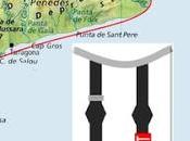 Charrán patinegro anilla