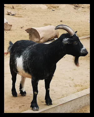 Imagen de la memoria. Anécdota de infancia (María Gabriela Díaz Gronlier).
