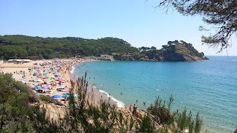 Descubre la Costa brava en Palamós