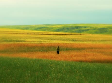 Venecia '25 - Parte 4: La búsqueda Venecia '25 - Parte 4: La búsqueda