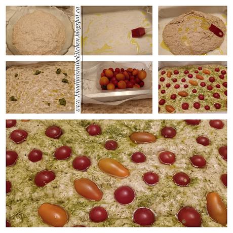 FOCCACIA À LA FARINE DE BLÉ COMPLET / WHOLE WHEAT FOCCACIA / FOCCACIA DE HARINA INTEGRAL / فوكاشيا دقيق القمح الكامل FOCCACIA À LA FARINE DE BLÉ COMPLET / WHOLE WHEAT FOCCACIA / FOCCACIA DE HARINA INTEGRAL / فوكاشيا دقيق القمح الكامل