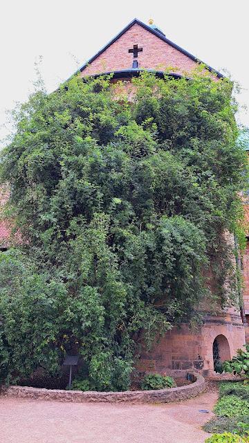 ALEMANIA : EL PASADO HISTÓRICO DE HILDESHEIM