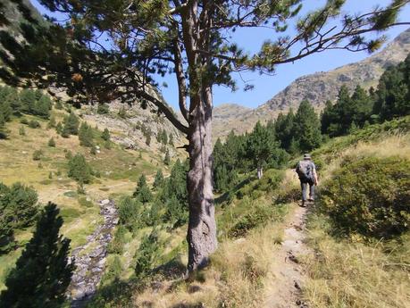 Excursión al Refugio de Rialb a través del Parque Natural de Sorteny | Andorra