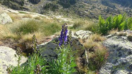 Cabana de Cóms de Jan y Estanyet de Ransol: una ruta de alta montaña en el Valle de Ransol | Andorra