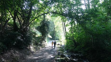 Descubre las cascadas secretas de Ordino: naturaleza en estado puro | Andorra Descubre las cascadas secretas de Ordino: naturaleza en estado puro | Andorra