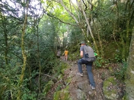Rec de l'Obac y Camí Macarulla: un paseo sombreado y con vistas a Andorra la Vella