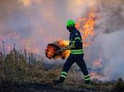 Incendios extremos península ibérica: nueva cara cambio climático